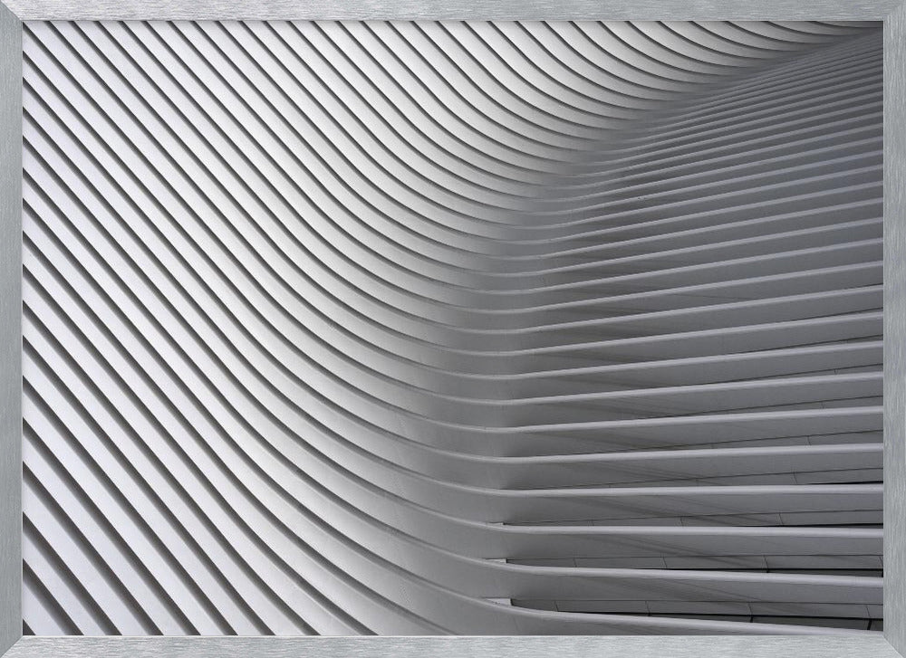 Calatrava Curves # 2 Poster